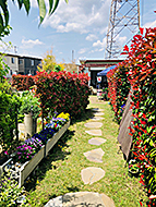 岡山Wise Garden